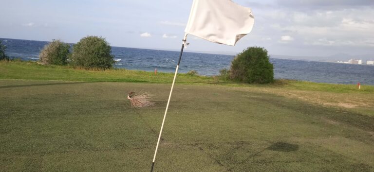 zwischen Kistenturm und Kuchenkrise – ein Sonntag mit Windstärke 10