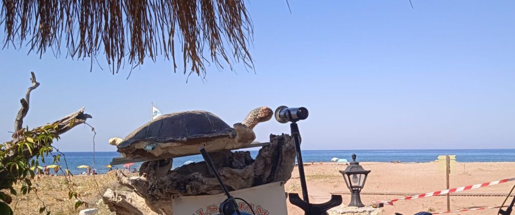 Schildkröten-Skulptur am Strand – Symbol für so tun als ob“). Dagmar Thiel coaching 50+