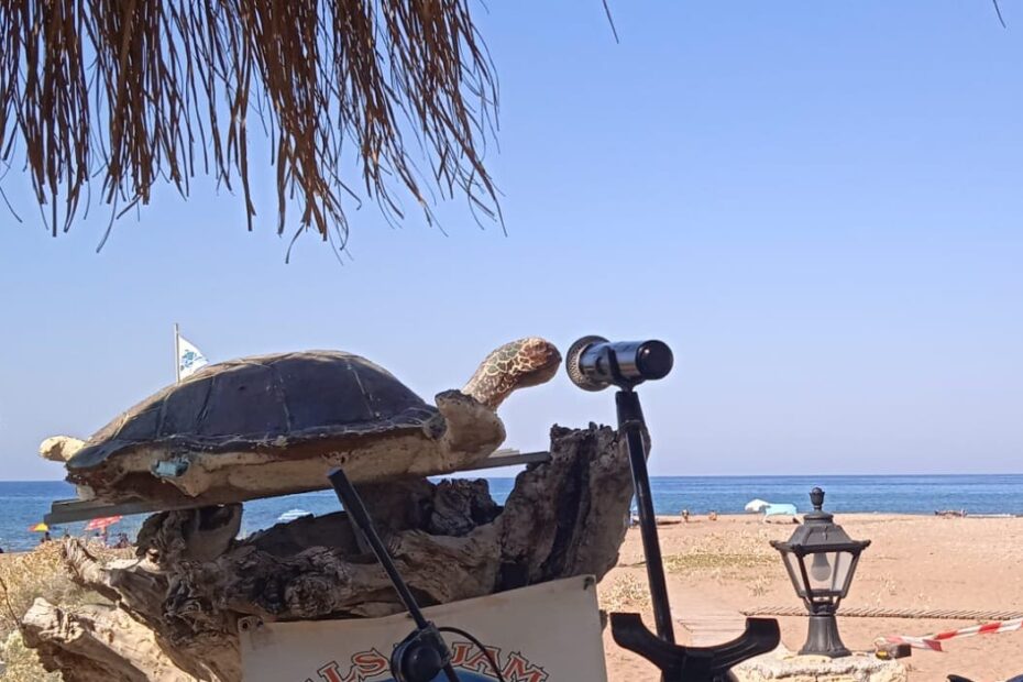 Schildkröten-Skulptur am Strand – Symbol für so tun als ob“). Dagmar Thiel coaching 50+