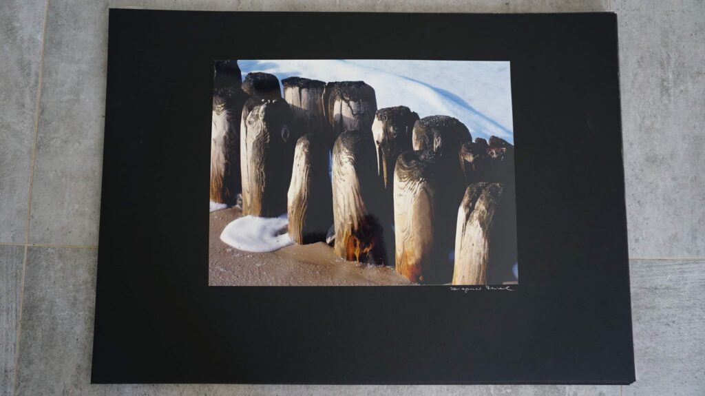 Pöhle am trand, neustart50