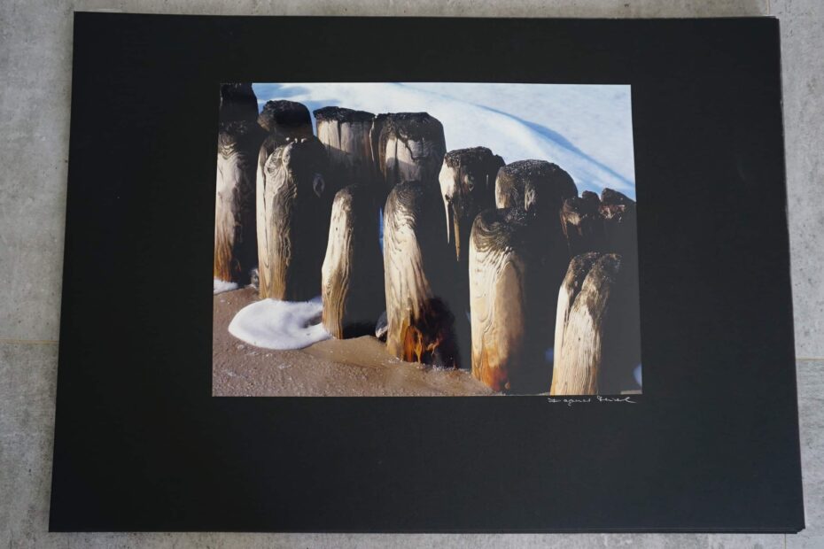 Pöhle am trand, neustart50