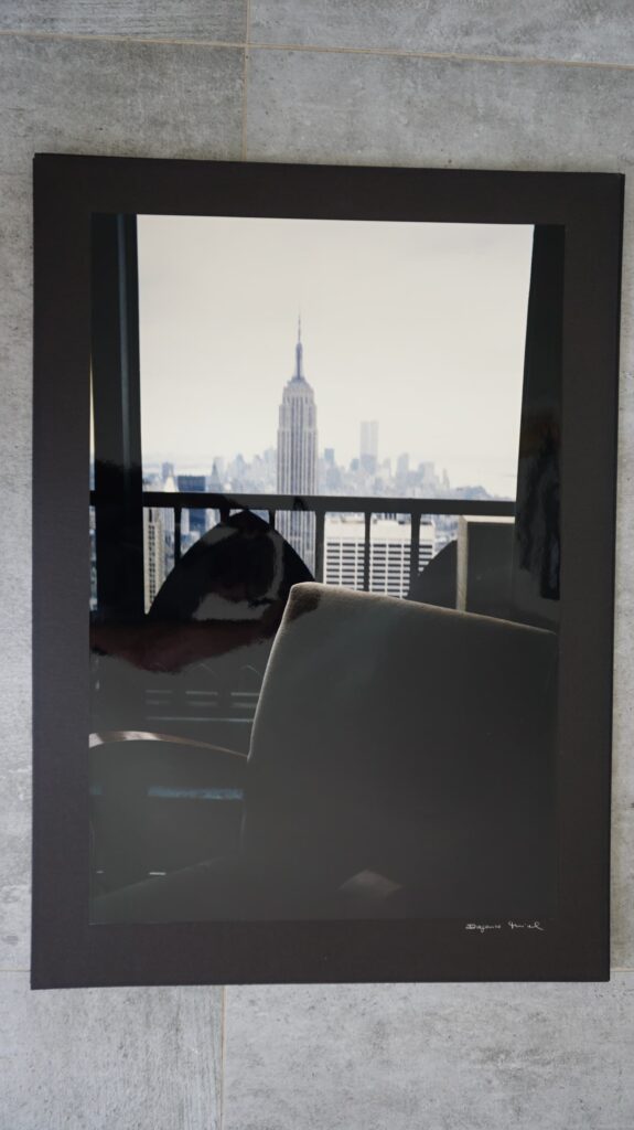 Syline New York von innen, neustart50