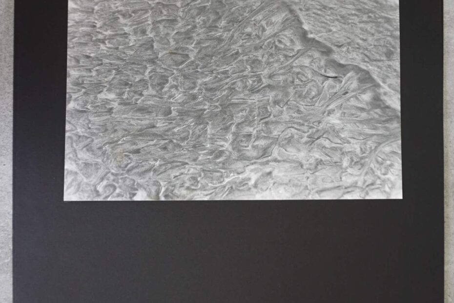 Wattspuren, neustart50