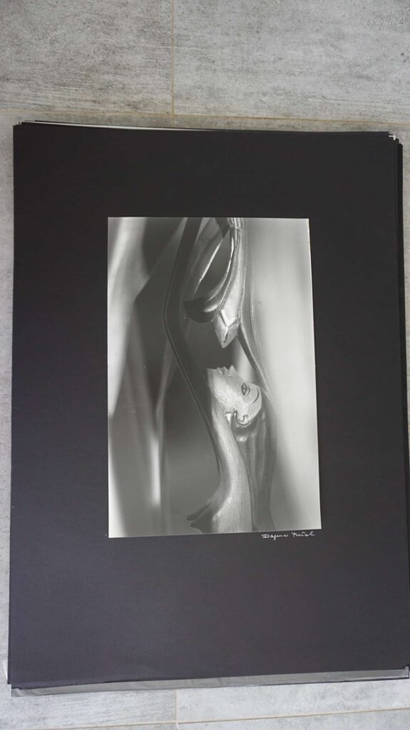 empfangende Holfigut, neustart50