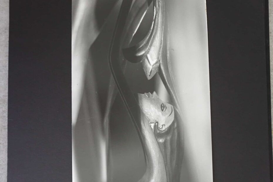 empfangende Holfigut, neustart50