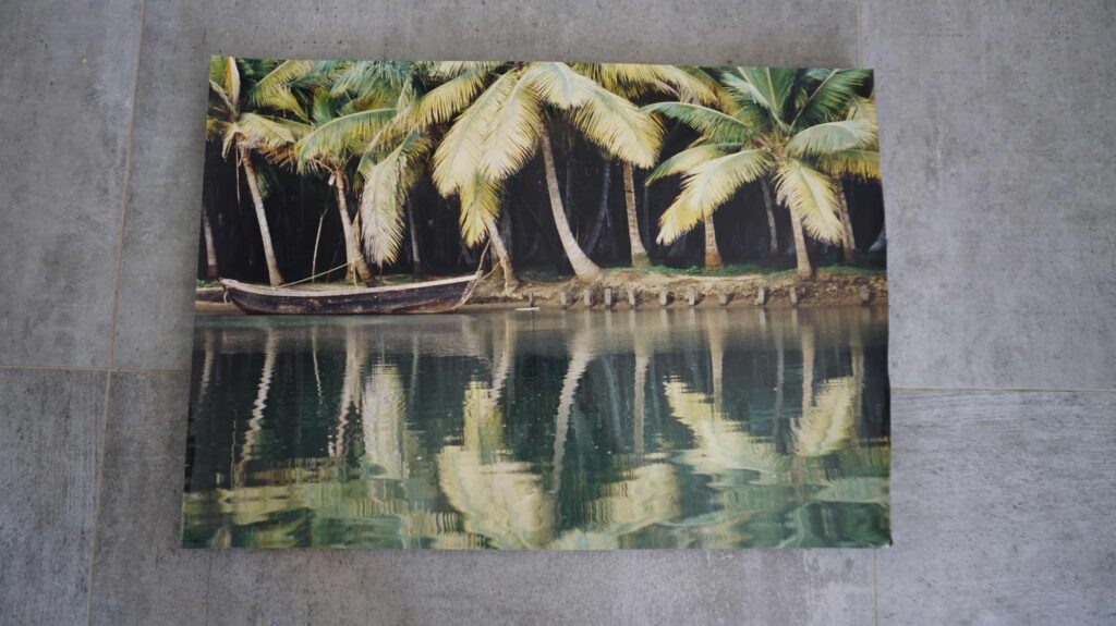 Boot im Mangrovenwald, neustart50