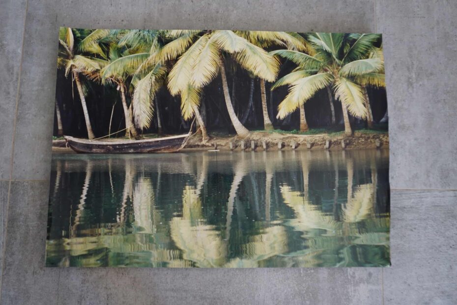 Boot im Mangrovenwald, neustart50