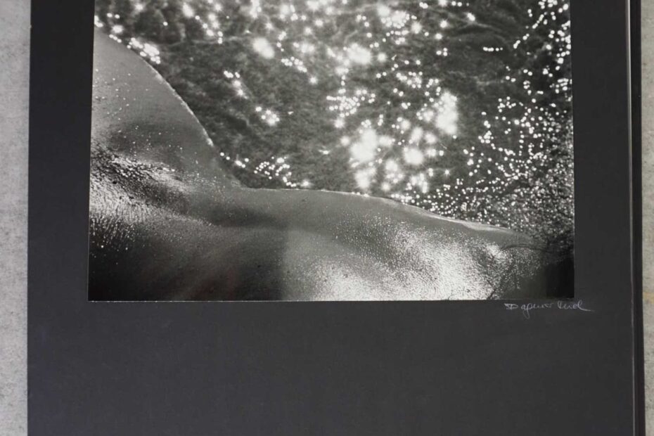 Rücken am Wasser, neustart50