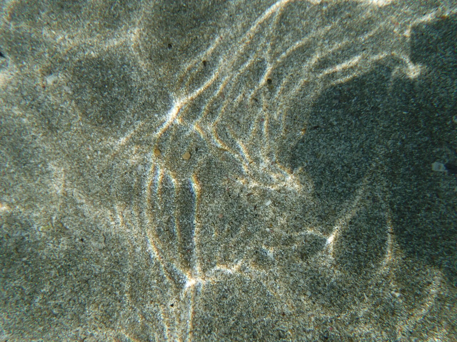 Sonnenlicht zeichnet Linien auf den sandigen Meeresboden im Mittelmeer